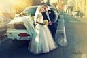 Foto Geci :: 098 555 677